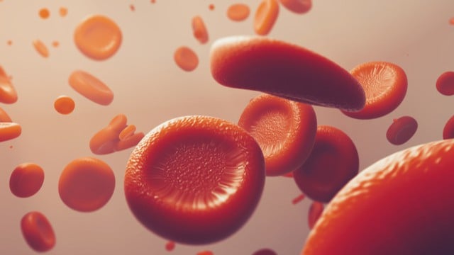 rode bloedcellen