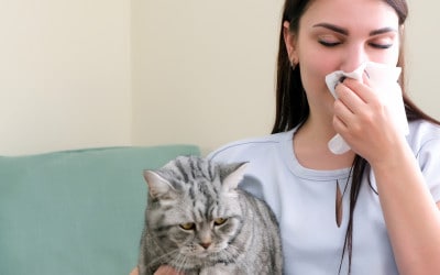une jeune femme éternue d'allergie à son chat.