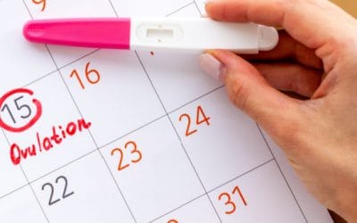 Hoe werkt een ovulatietest?